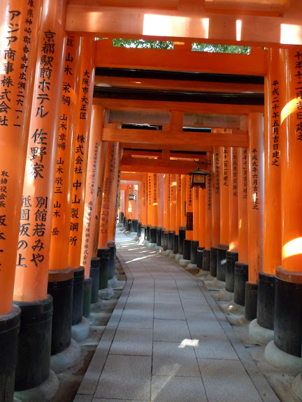 Toriis Fushimi Inari Kyoto